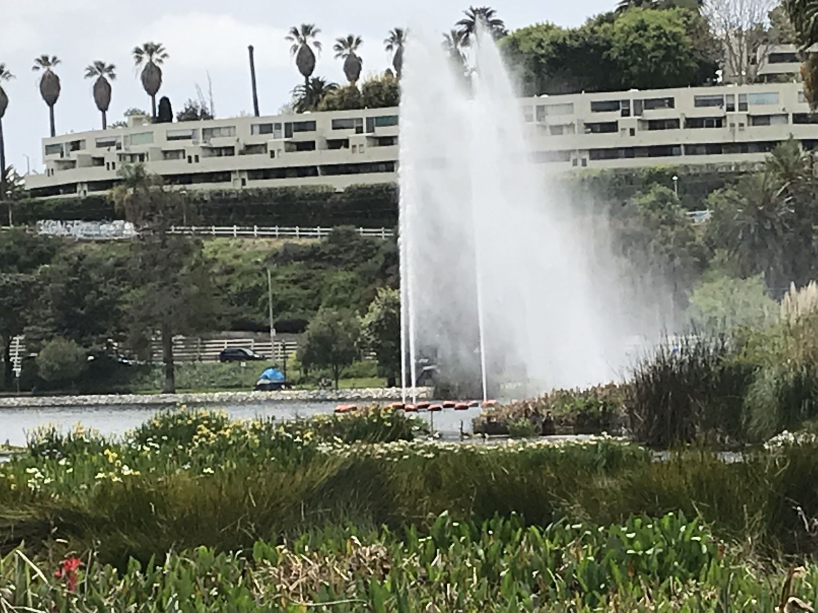 Echo Park Lake